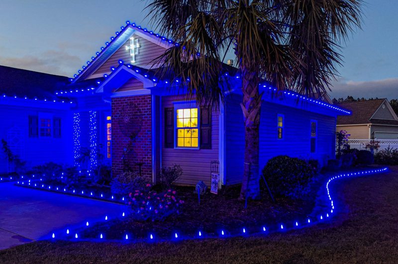 Ranch home in blue LED roofline lights with a lit palm tree and blue stake lighting along the walkway
