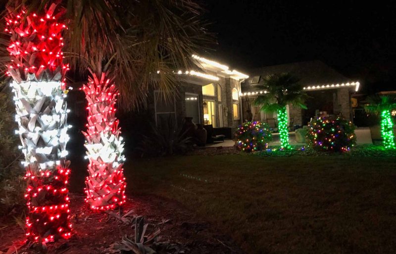 Palm trunks wrapped in red and white candy-cane lights