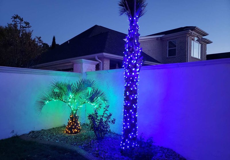 Palm tree wrapped in blue lights beside a home with blue roofline lighting