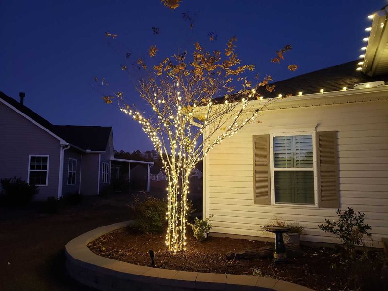 Crepe myrtle wrapped in warm white lights beside a home with roofline lighting