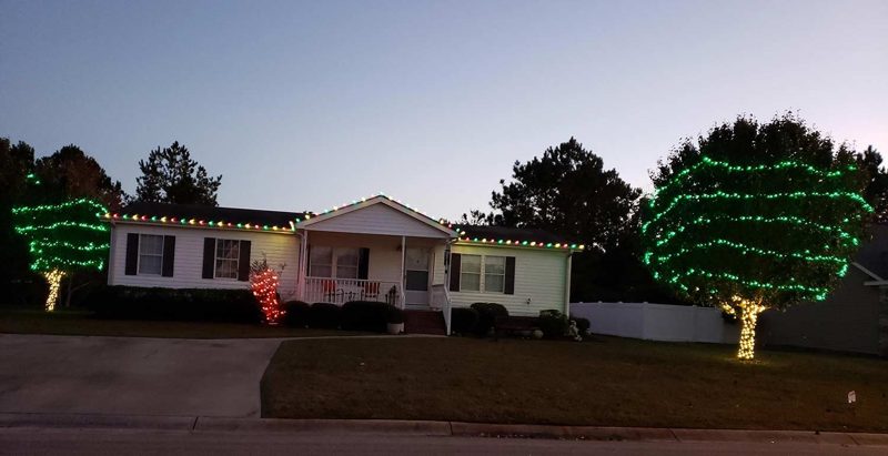 Home with warm white roofline lights and green-wrapped trees at dusk