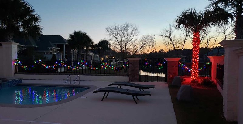 Pool deck with wrapped palm trees in red and warm white lights