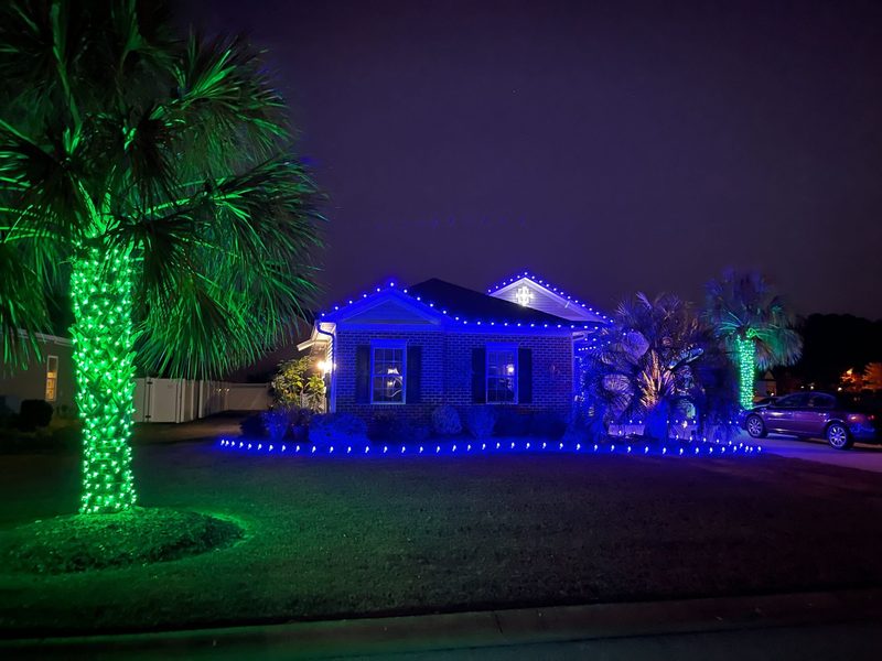Home in Longs, SC with blue roofline lights and a green-wrapped palm tree