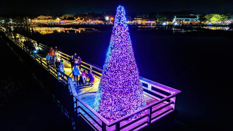 Lit Christmas tree on a dock on the Murrells Inlet waterfront